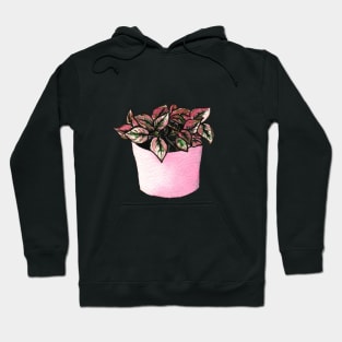 plant pot Hoodie